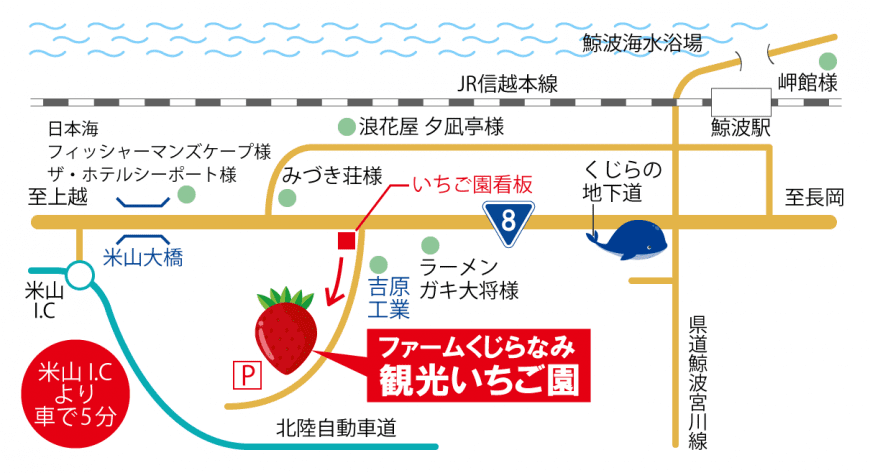 ファームくじらなみ 観光いちご園 ファームくじらなみ 観光いちご園