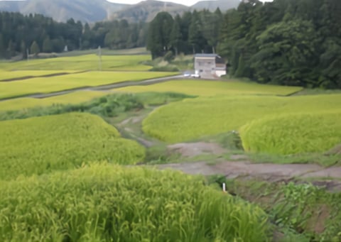 稔りの田園風景