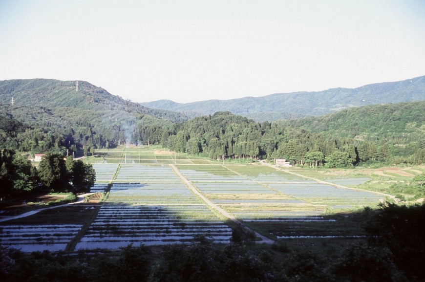 稔りの田園風景