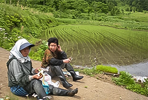 稔りの田園風景